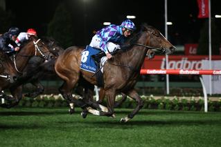 Princess Jenni (NZ) heads a New Zealand bred trifecta in the Group 2 Stocks Stakes. 